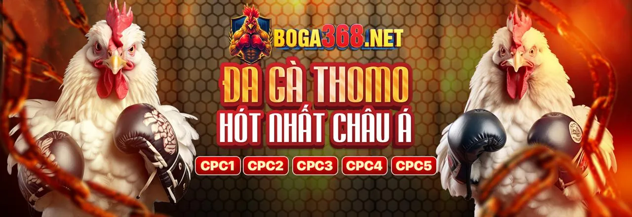 Hướng dẫn từng bước đăng ký tài khoản g666